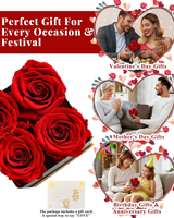Boîte de roses éternelles préservées - Origine Chine - Pour femmes, petites amies, mamans - Livraison pour Noël et anniversaire