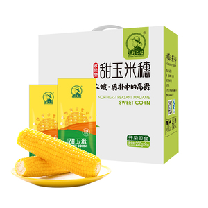 Cono de maíz dulce enlatado precio listo para cocinar - Product Image 1