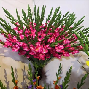 Nhà Máy Trực Tiếp Mô Phỏng Hoa Nhân Tạo Dài Thân Cây 120Cm Mềm Nhựa Gladiolus Hoa Lan Hoa Cho Đám Cưới Trang Trí - Product Image 5