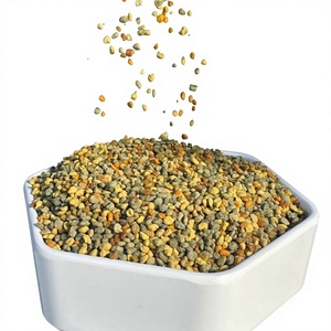 Polen de Abeja Natural Fresco al por Mayor de Alta Calidad, Grado Alimenticio, en Polvo, Mezclado, 25 KG/cartón, a Precio Competitivo - Product Image 1