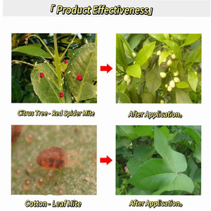 Acaricida de Nueva Generación Cyetpyrafen 30% SC para el Tratamiento de Ácaros Arañeros Resistentes en Flores, Precio de Fábrica - Product Image 3