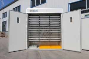Éclosion de pigeon <span class=keywords><strong>paon</strong></span> 6000 oeufs de poule incubateur d'oeufs de volaille domestique HJ-I6336 - Product Image 6