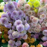 Nieuwe Aankomst Meerdere Kleuren 10 Hoofden Honingraat Fruit Zijde Kunstmatige Bal Chrysanthemum Voor Bruiloft Decoratie