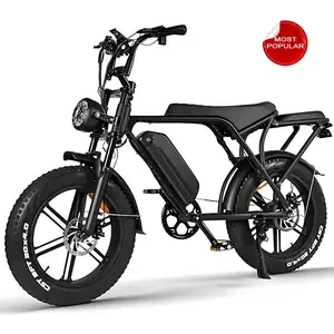 us stock 20inch fat tyres Ebike with Long Seat and Full Suspension 48V Retro Ebike 1000w Electric bicycle electric Mountain bike