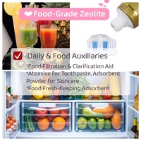 Polvo de Zeolita Natural Pura para la Conservación de Frutas y Verduras, Adsorbente de Etileno de Clinoptilolita, Exportación al por Mayor