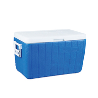 Glacière isotherme moderne 46L en PE pour pique-niques, pêche, fêtes en plein air et canettes - Maintien au froid 72H