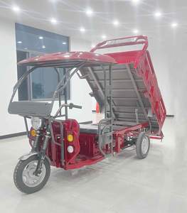 電動三輪車60V OEM INDIA E人力車2025年カスタム新デザイン旅客バッテリー三輪車