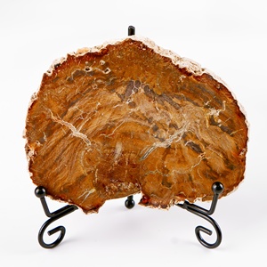 Wholesale Shammah Crystal Natural Petrified <b>Wood</b> <b>Slice</b> Slab Quartz Crystal Mineral Specimen Healing Feng Shui Polished - Product Image 1