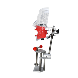 Modello di testa dentale di fabbrica scienza medica modello di testa di simulazione dentale modello di testa fantasma dentale - Product Image 3