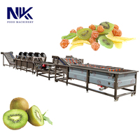 Ligne de production de pulpe de kiwi à haute efficacité, ligne de pelage et de dénoyautage de kiwi