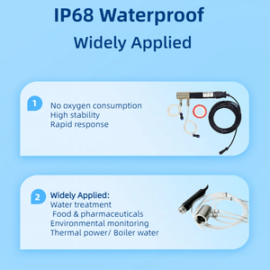 Floresan İzleme Çözünmüş Oksijen Sensörü Su Kalitesi İzleme Ekipmanı DO Ölçer Ppb Su Kalitesi Analizörü - Product Image 5