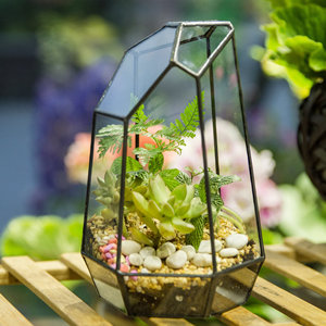 Conception géométrique ouverte moderne Transparent acrylique Reptile Case Floor Usage Irrégulier <span class=keywords><strong>Terrarium</strong></span>/Aquarium Reptiles Plantation - Product Image 4