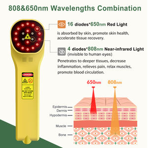 ZJZK Thérapie par la lumière pulsée intense portable près <span class=keywords><strong>de</strong></span> <span class=keywords><strong>moi</strong></span> Laser <span class=keywords><strong>de</strong></span> bas niveau améliorant la circulation sanguine accélérant la réparation des tissus - Product Image 4