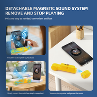 Nouvelle banque d'alimentation professionnelle, boîte à musique magnétique rechargeable puissante, haut-parleur sans fil mini portable