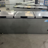 Congélateur coffre commercial horizontal R290 à froid direct avec affichage numérique pour la restauration