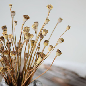 Ogni amore ha asciugato i rami di frutta il Bouquet di fiori naturali la disposizione dei fiori di nozze la casa la decorazione dei fiori - Product Image 2