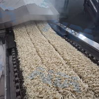 Ligne de production de machines à nouilles instantanées Maggi entièrement automatique, four de cuisson haute capacité et mélangeur pour la transformation des produits céréaliers