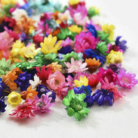 Bunga Daisy Bintang Kecil Brasil Kering Alami, Asli, Tanpa Bahan Kimia, Untuk Kerajinan Seni DIY, Pernikahan, Pesta, Berbagai Warna, Custom