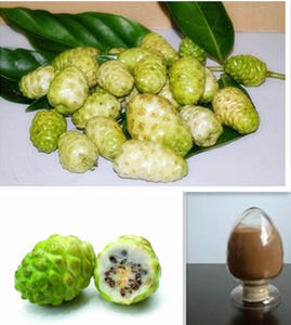 Fabrika Tedarikli Sıcak Satış Katkısız <span class=keywords><strong>Noni</strong></span> Meyve Suyu Tozu Yüksek Kalite ve Hızlı Kargo ile - Product Image 4