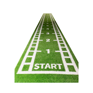 Trong Nhà Chất Lượng Tốt Phòng Tập Thể Dục Sled Theo Dõi Cỏ Nhân Tạo Turf - Product Image 3