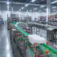 Ligne de production entièrement automatique et haute efficacité ENAK pour légumes en conserve, asperges et pousses de bambou, capacité de 1 à 60 tonnes