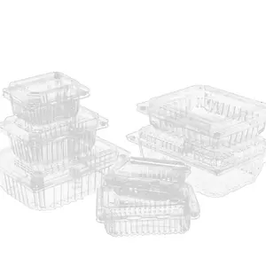 Hoogwaardige Wegwerp Plastic Voedselcontainer Groenteverpakking Clamshell Voedselcontainer Oem