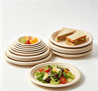 Assiettes jetables en fibre de coque de riz de 6 à 10 pouces, vaisselle carrée biodégradable, vaisselle écologique pour la restauration, plats de service pour les fêtes