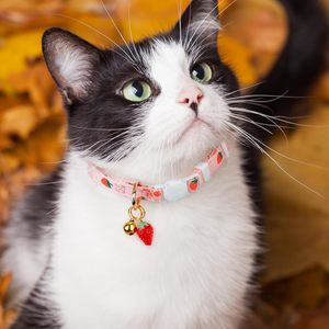 Modisches rosa Baumwoll-Breakaway-Katzen halsband Rosa Erdbeeren und weißer herzförmiger Anhänger Nettes Kätzchen-Katzen halsband - Product Image 3