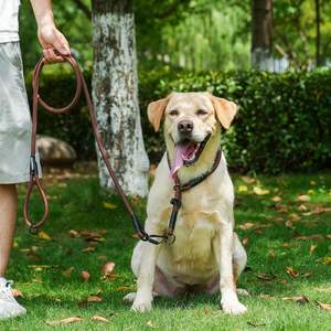 Correa para Pájaros MORXIL de 6 Pies, Resistente, con Mosquetón de Aluminio de Aviación con Bloqueo Automático, Correa de Nailon Resistente para Mascotas con Luces - Product Image 5