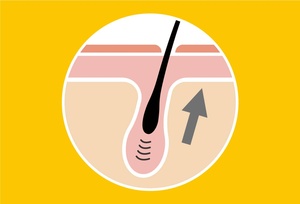 ขี้ผึ้งน้ำผึ้งธรรมชาติธรรมชาติใช้กำจัดขนขี้ผึ้งไม่มีสารกันบูด - Product Image 5