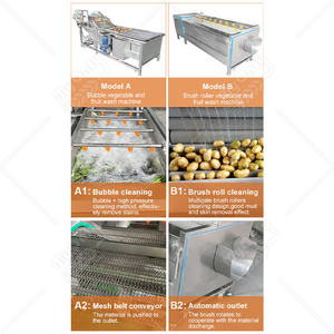 MY Machine à laver <span class=keywords><strong>orange</strong></span> à haut rendement Capacité de 100kg Équipement de lavage à rouleau pour laver les pommes de terre - Product Image 4