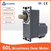 Moteur à engrenages CC sans balais 50W 12V 24V 48V avec arbre de 18mm et boîte de vitesses pour porte coulissante automatique (alimentation CC requise)