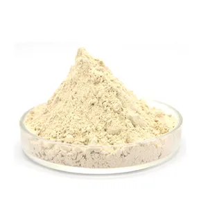 Food Grade Supply Soybean P.E. Natural Soybean Extract Powder 40%80% Soy Isoflavone