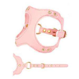 Arnés de Cuero Premium para Perro con Bordado de Nombre Personalizado, Arnés Acolchado para Pasear Mascotas, Texto Personalizado para una Identificación Única - Product Image 1