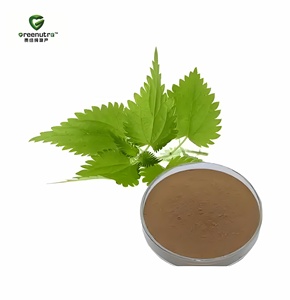 Poudre d'extrait de <span class=keywords><strong>feuille</strong></span> d'<span class=keywords><strong>ortie</strong></span> (extraction par solvant) de qualité alimentaire Greenutra pour formulations cosmétiques artisanales - Product Image 1