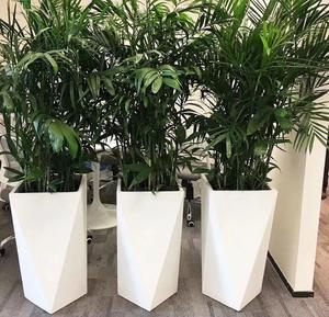 <span class=keywords><strong>Pot</strong></span> de fleurs en fibre de verre, <span class=keywords><strong>Pot</strong></span> de <span class=keywords><strong>plante</strong></span> rond de Style nordique <span class=keywords><strong>pour</strong></span> l'<span class=keywords><strong>intérieur</strong></span> et l'extérieur, Vase Large, jardinière de jardin - Product Image 4