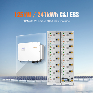 Nueva Solución para Uso Comercial: <span class=keywords><strong>Inversor</strong></span> Híbrido Trifásico <span class=keywords><strong>Solis</strong></span> de 125kW y Banco de Baterías LiFePO4 de 241kWh con Celdas Ganfeng de las 10 Mejores Marcas - Product Image 1