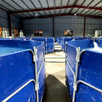 Sistema de Acuicultura de Recirculación RAS, Granja Interior de Alta Densidad para Peces y Camarones con Estanques de Lona y Unidad de Filtración de Agua