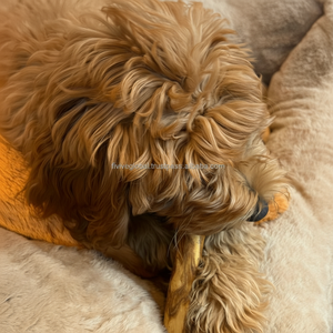 Organic Coffee Wood Stick Chew <b>Toys</b>, Ideal For All <b>Dogs</b>, <b>Interactive</b> <b>Toys</b> For Engaging Playtime, Made In Vietnam, ODM, Low MOQ - Product Image 1