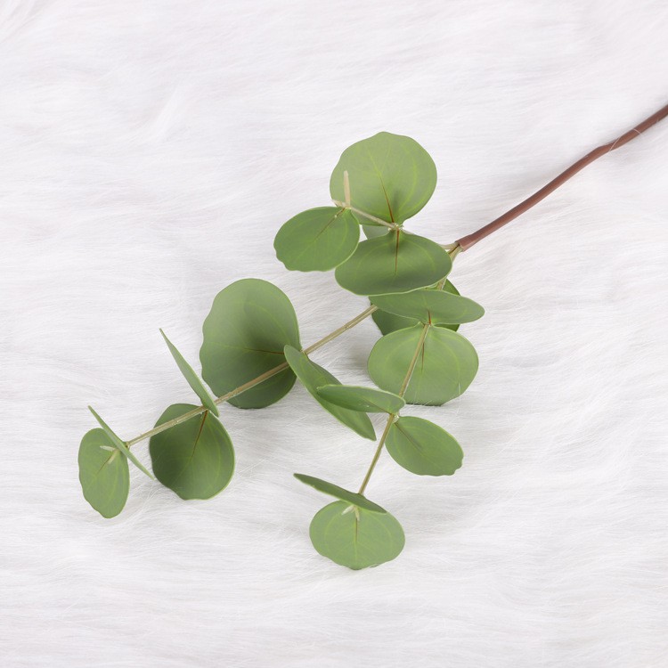 Petites feuilles rondes à trois lobes, vertes