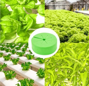 50 colliers de clonage, inserts en mousse de qualité supérieure, meilleur que le néoprène pour la germination des plantes en hydroponie dans un cloneur DIY - Product Image 5
