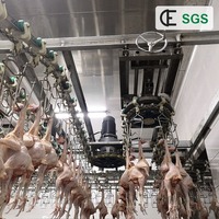 Ligne d'abattage de volailles clé en main 1000BPH en acier inoxydable, ligne de traitement automatique de volailles, équipement complet d'abattoir