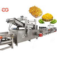 Gelgoog RVS Automatische Multifunctionele Fruit-, Groente-, Banaan- en Snoepchipsmachine met Warmtewisselaar en Friteuse