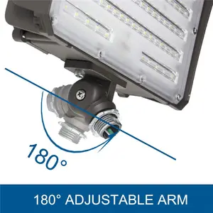 Lumière led à articulation blanc ETL DLC SAA CE 5 ans de garantie rvb projecteur 100w avec télécommande 40W 50W 60W 80W 100W projecteur 1000w