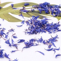 SHI CHE JU Teh Bunga Jagung Biru Kering Sehat, Bahan Infus Rasa Bunga Jagung Kering