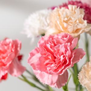 <span class=keywords><strong>Claveles</strong></span>, Decoración de Flores Simuladas Realistas, Decoración de Flores Artificiales, Decoración de Flores Artificiales para Bodas - Product Image 5