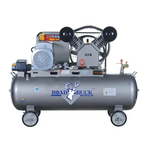 RoadBuck factory 5.5Hp copper wire oil-free piston silent air compressor machine for sale