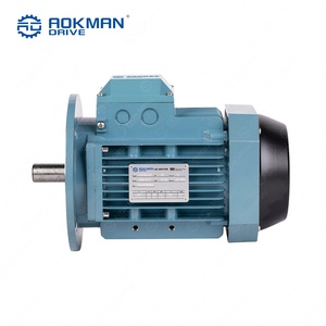 Moteur asynchrone triphasé robuste, moteur industriel haute efficacité pour équipements de fabrication - Product Image 6