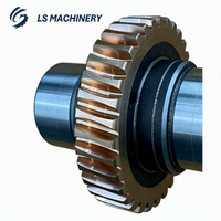 LS03-066 Kit d'engrenages à vis sans fin en acier inoxydable pour usinage CNC de précision, comprenant roue à engrenages, pièces d'engrenage et arbre à vis sans fin pour robot