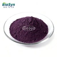 Extrait de pépins de raisin BioSyn 95% OPC Proanthocyanidine